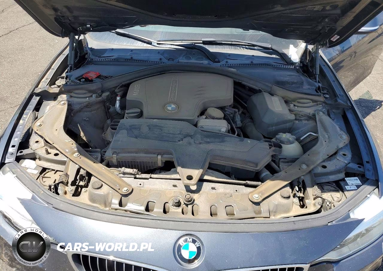 2014 BMW 428 Xi Sulev VIN:WBA3T1C58EPS98228 - 11