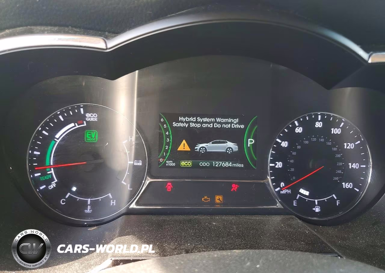 2012 Kia Optima Hybrid VIN:KNAGM4AD8C5030718 - 9