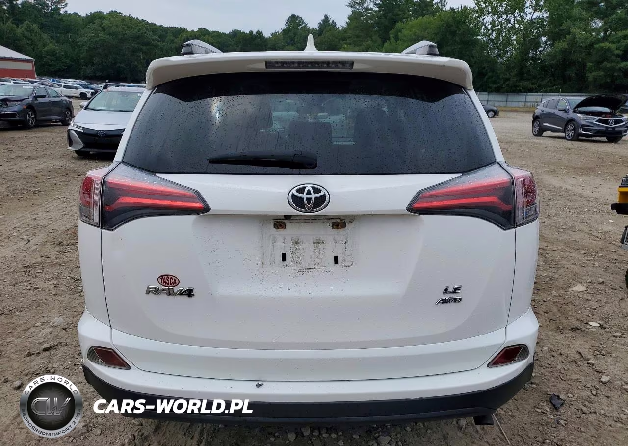 2017 Toyota Rav4 Le VIN:JTMBFREV4HJ135178 - 6