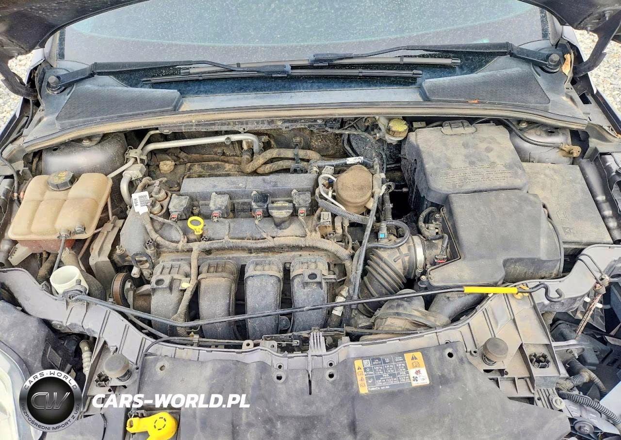 2014 Ford Focus Se VIN:1FADP3K28EL363171 - 11