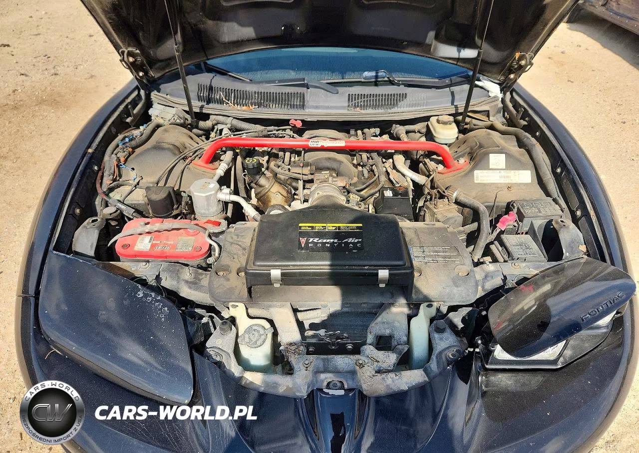 2002 Pontiac Firebird Trans Am VIN:2G2FV32G722108922 - 11