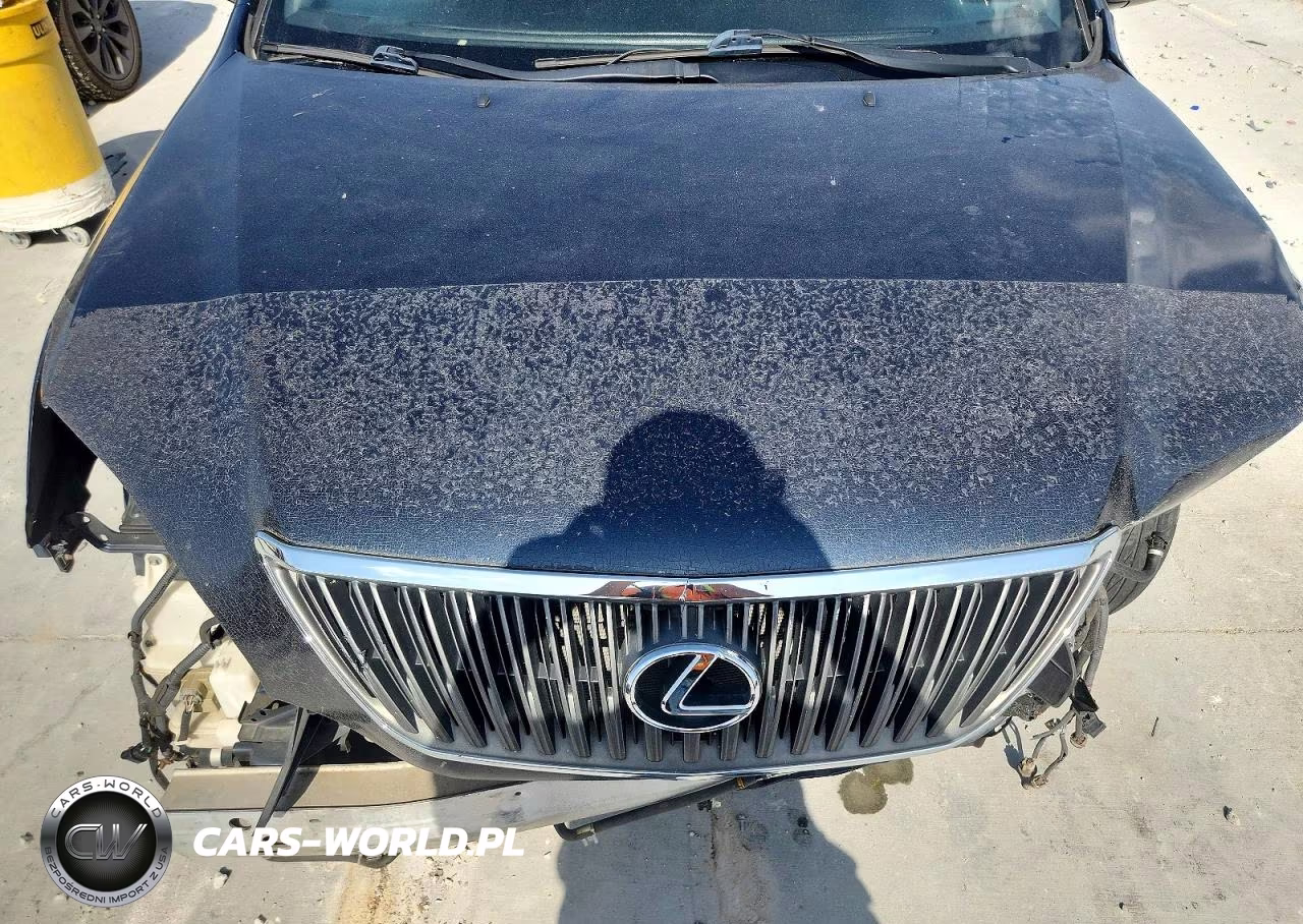 2005 Lexus Rx 330 VIN:2T2GA31U55C024821 - 12