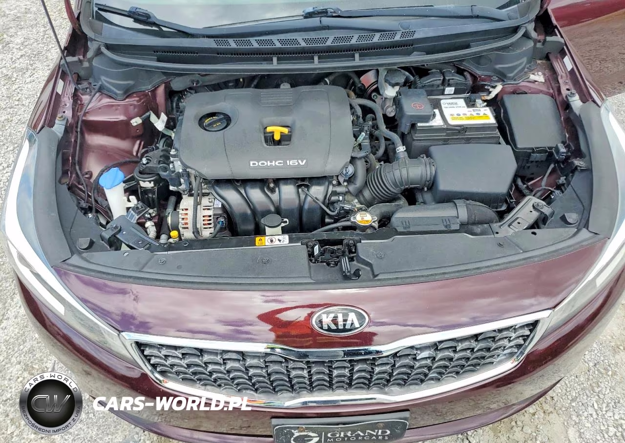 2018 Kia Forte Lx VIN:3KPFL4A7XJE196770 - 11