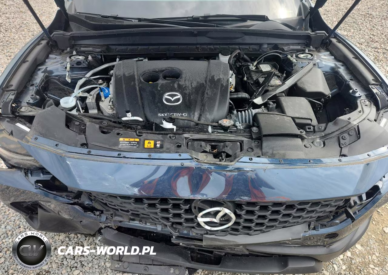 2024 Mazda Cx-50 Premium VIN:7MMVABDM2RN165947 - 12