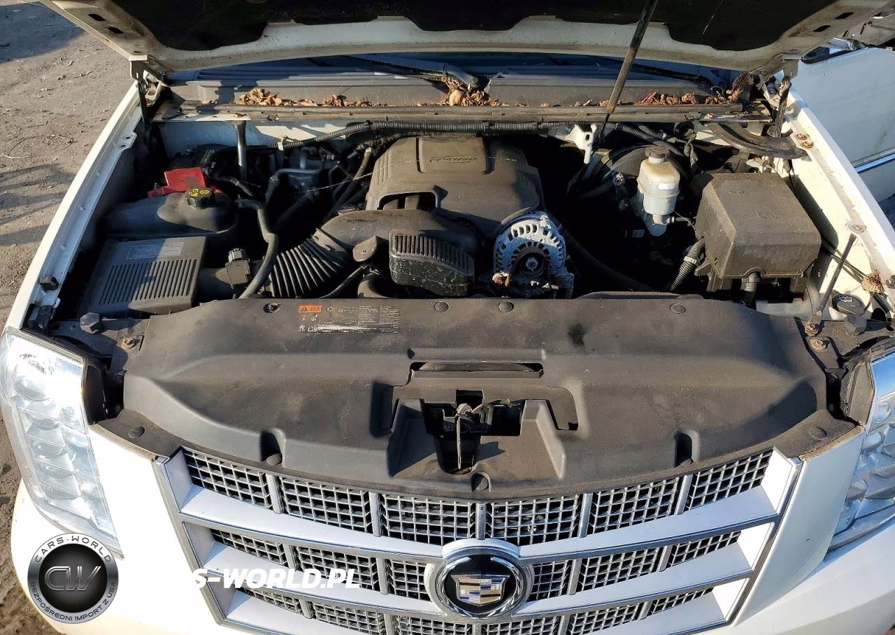 2011 Cadillac Escalade Platinum VIN:1GYS4DEF7BR260583 - 12