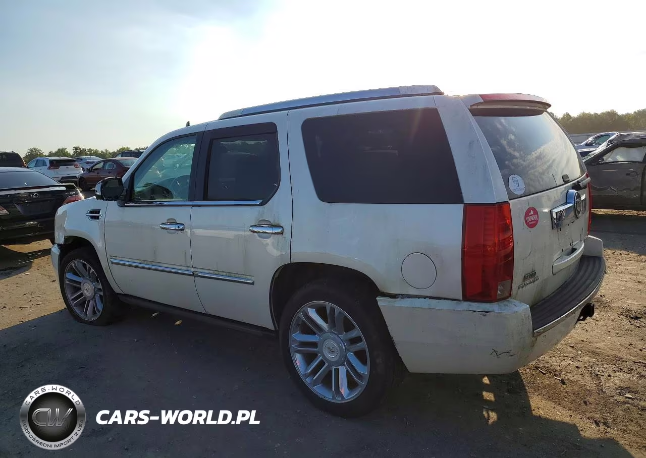 2011 Cadillac Escalade Platinum VIN:1GYS4DEF7BR260583 - 2
