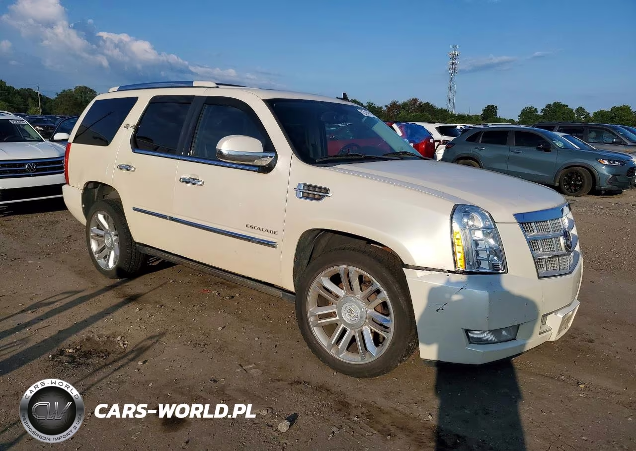2011 Cadillac Escalade Platinum VIN:1GYS4DEF7BR260583 - 4