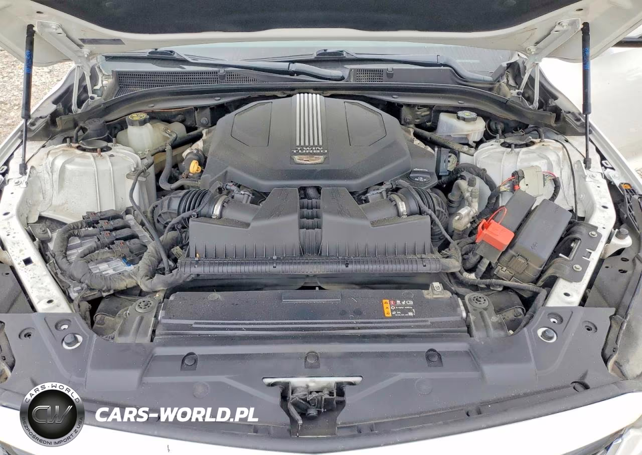 2022 Cadillac Ct5 Premium Luxury VIN:1G6DN5RW6N0111394 - 11