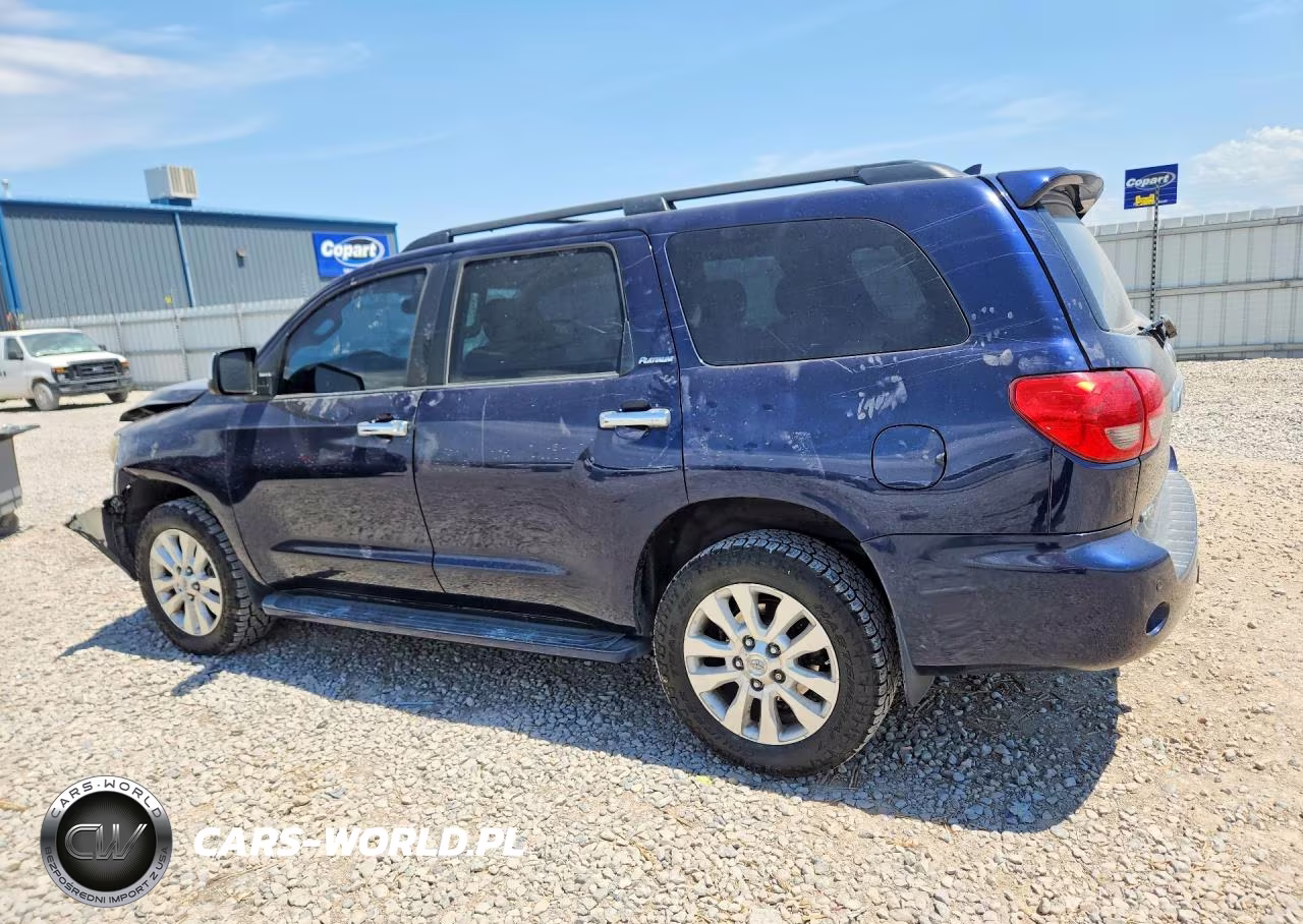 2010 Toyota Sequoia Platinum VIN:5TDDY5G18AS024518 - 2