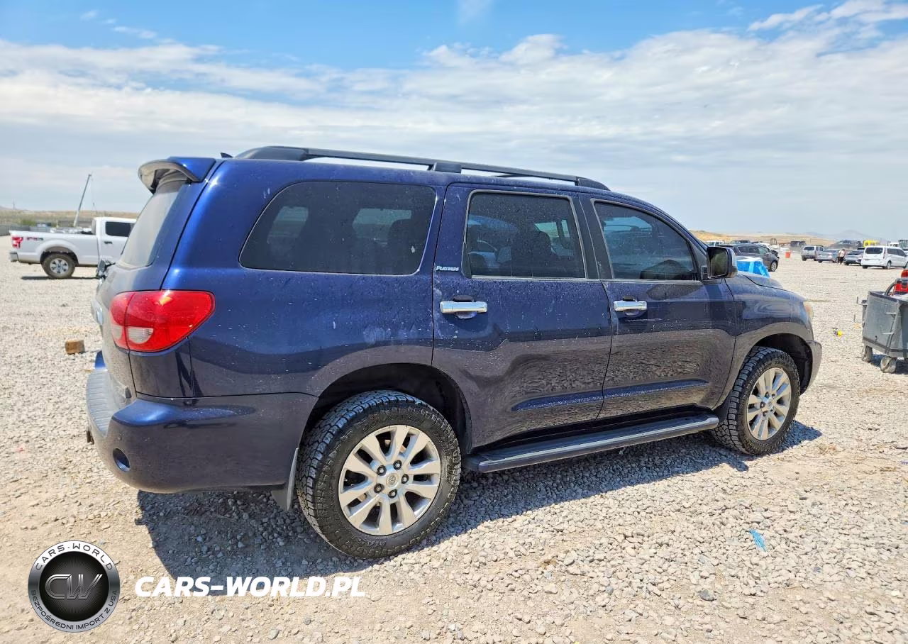 2010 Toyota Sequoia Platinum VIN:5TDDY5G18AS024518 - 3