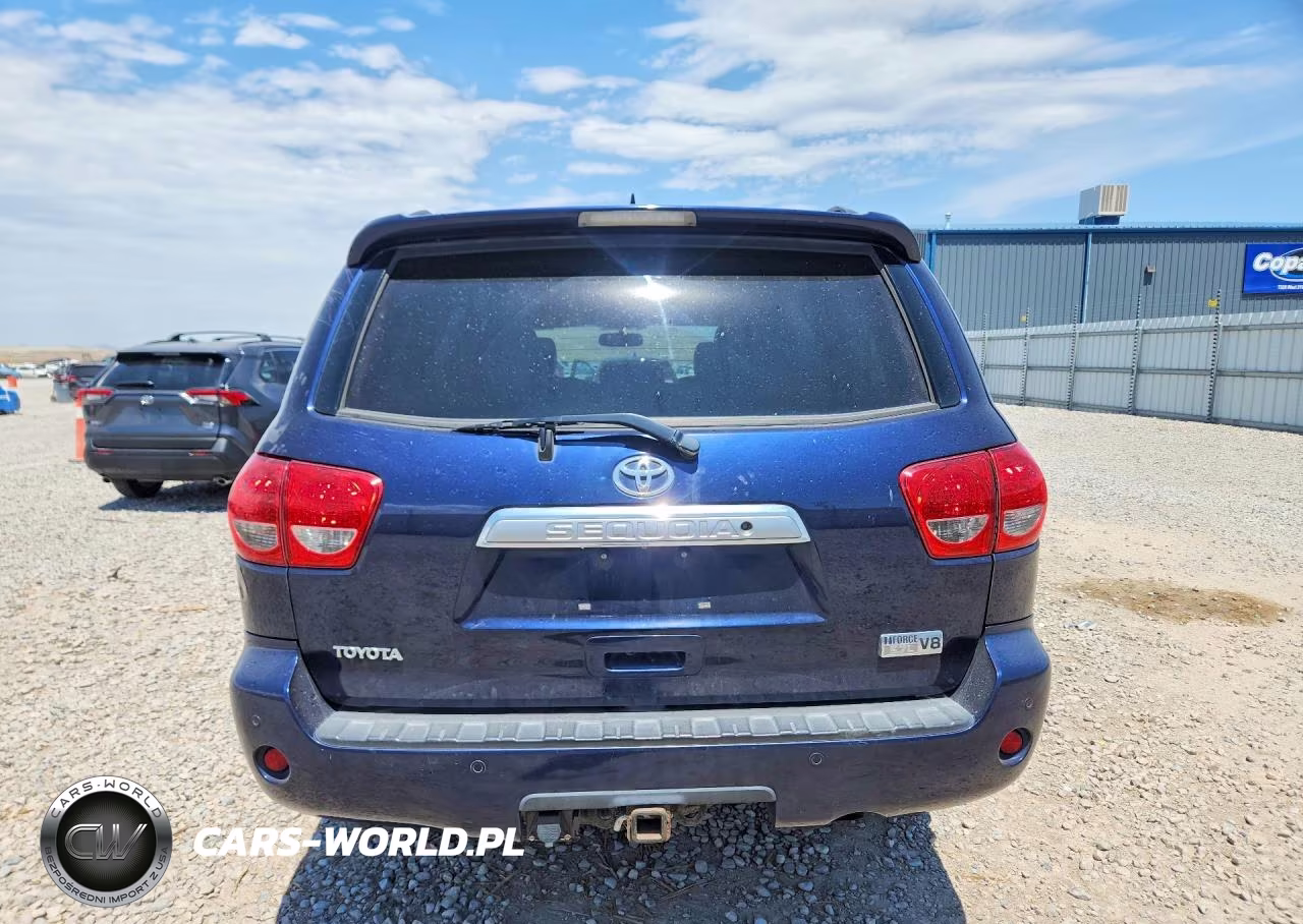2010 Toyota Sequoia Platinum VIN:5TDDY5G18AS024518 - 6