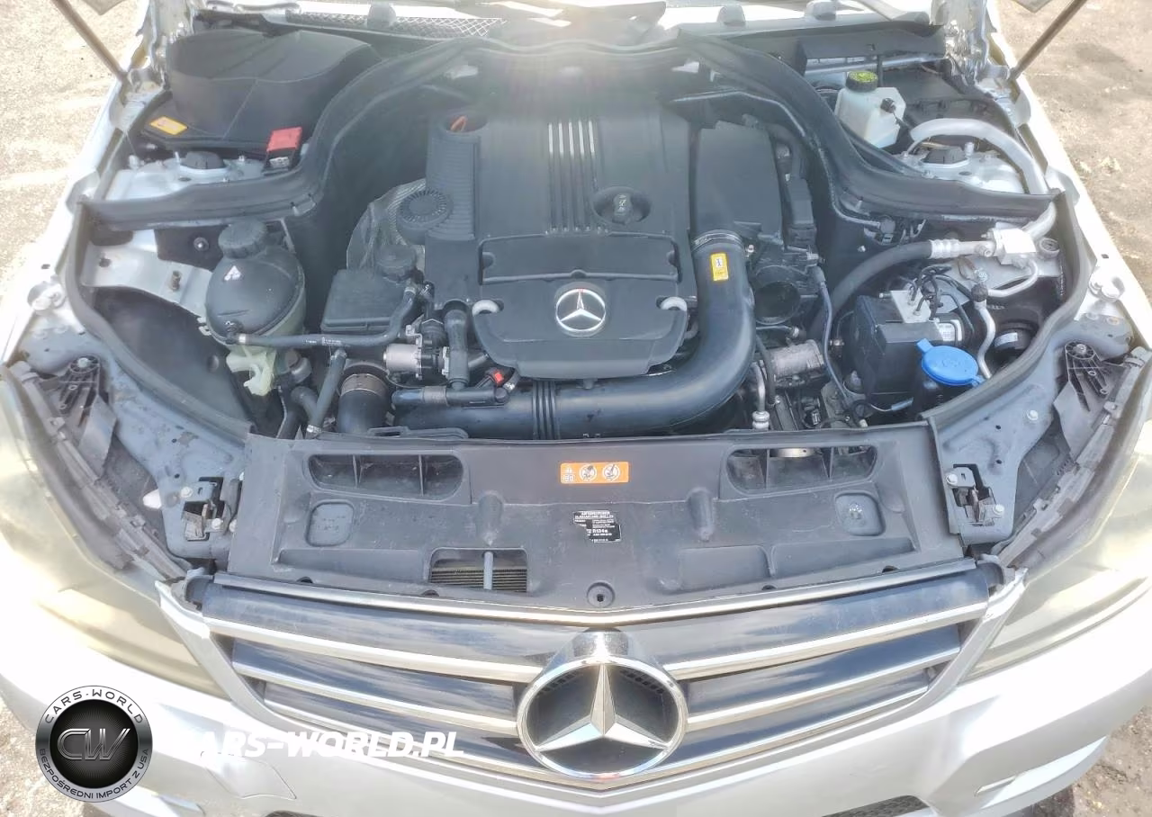 2014 Mercedes-Benz C-Class C250 VIN:WDDGF4HB1EG247767 - 11