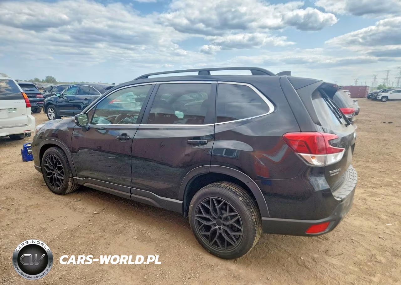 2019 Subaru Forester Limited VIN:JF2SKAUC1KH561732 - 2