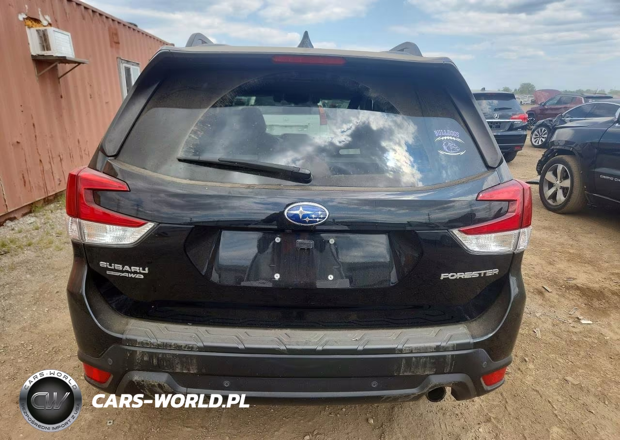 2019 Subaru Forester Limited VIN:JF2SKAUC1KH561732 - 6