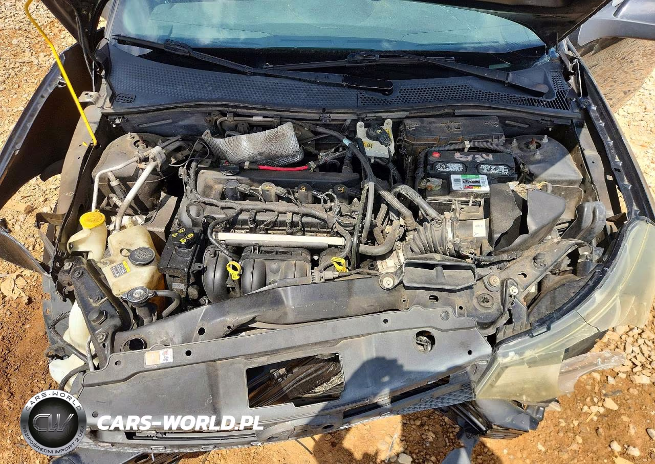 2010 Ford Focus Ses VIN:1FAHP3GN9AW182772 - 11