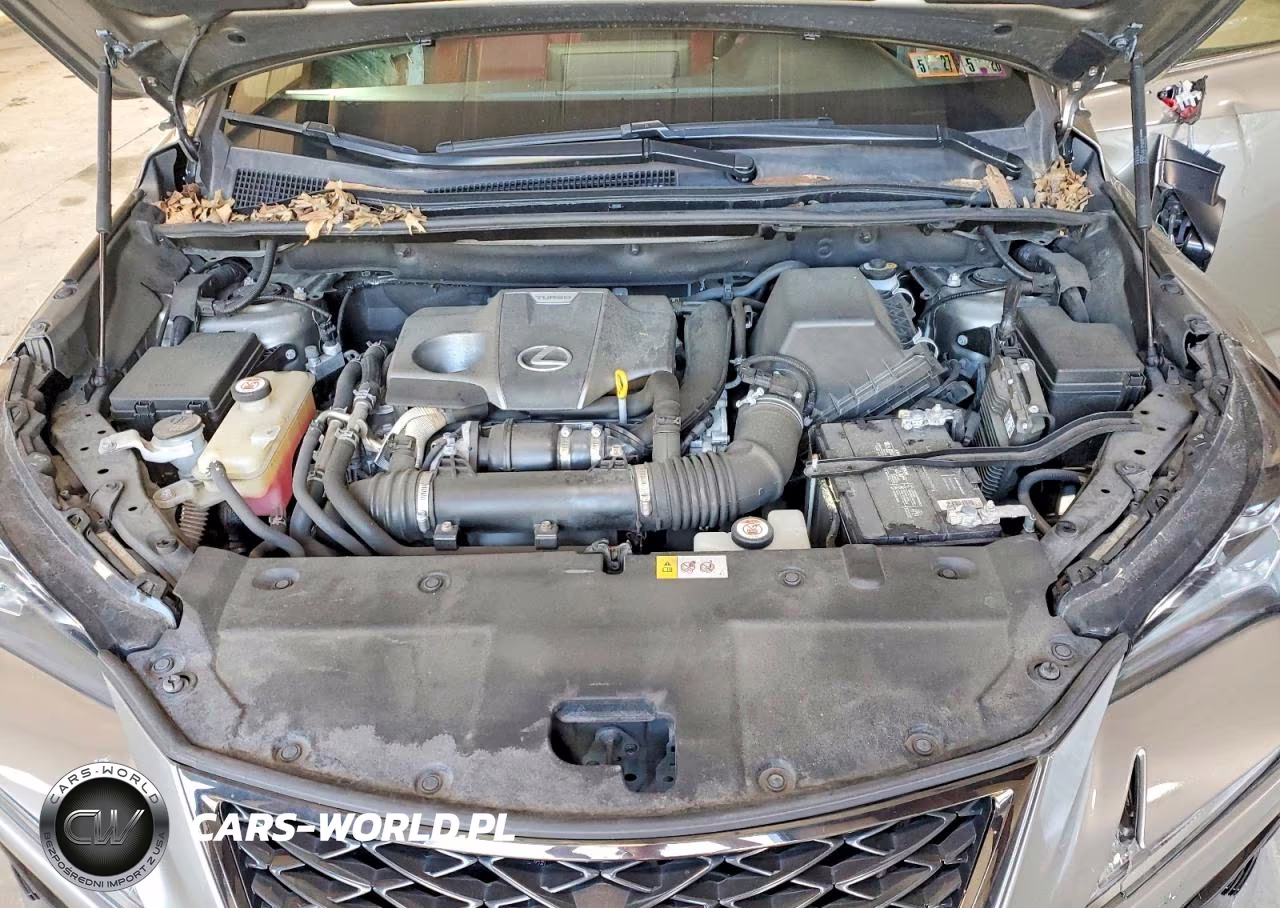 2019 Lexus Nx 300 F Sport VIN:JTJBARBZ7K2181012 - 12