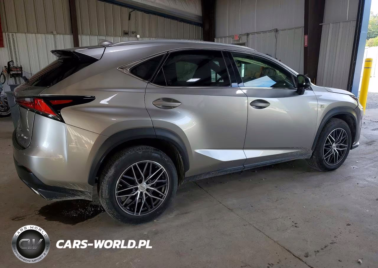 2019 Lexus Nx 300 F Sport VIN:JTJBARBZ7K2181012 - 3