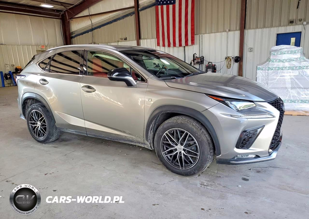 2019 Lexus Nx 300 F Sport VIN:JTJBARBZ7K2181012 - 4