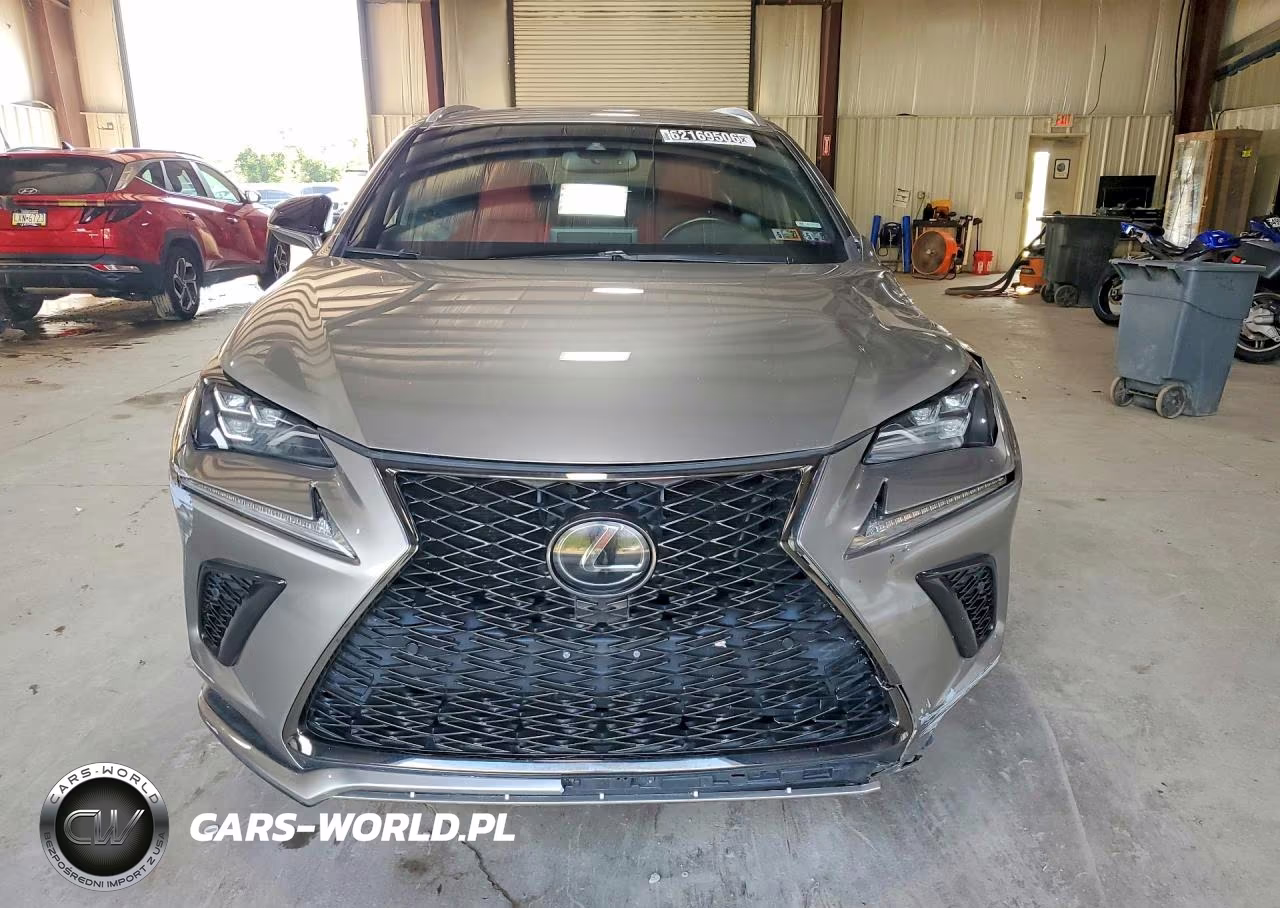 2019 Lexus Nx 300 F Sport VIN:JTJBARBZ7K2181012 - 5