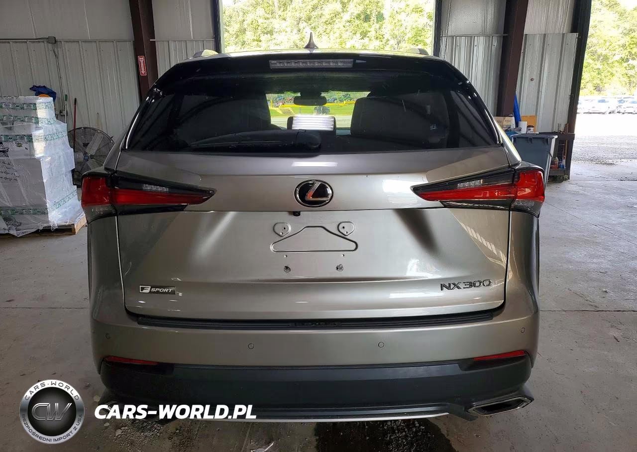 2019 Lexus Nx 300 F Sport VIN:JTJBARBZ7K2181012 - 6