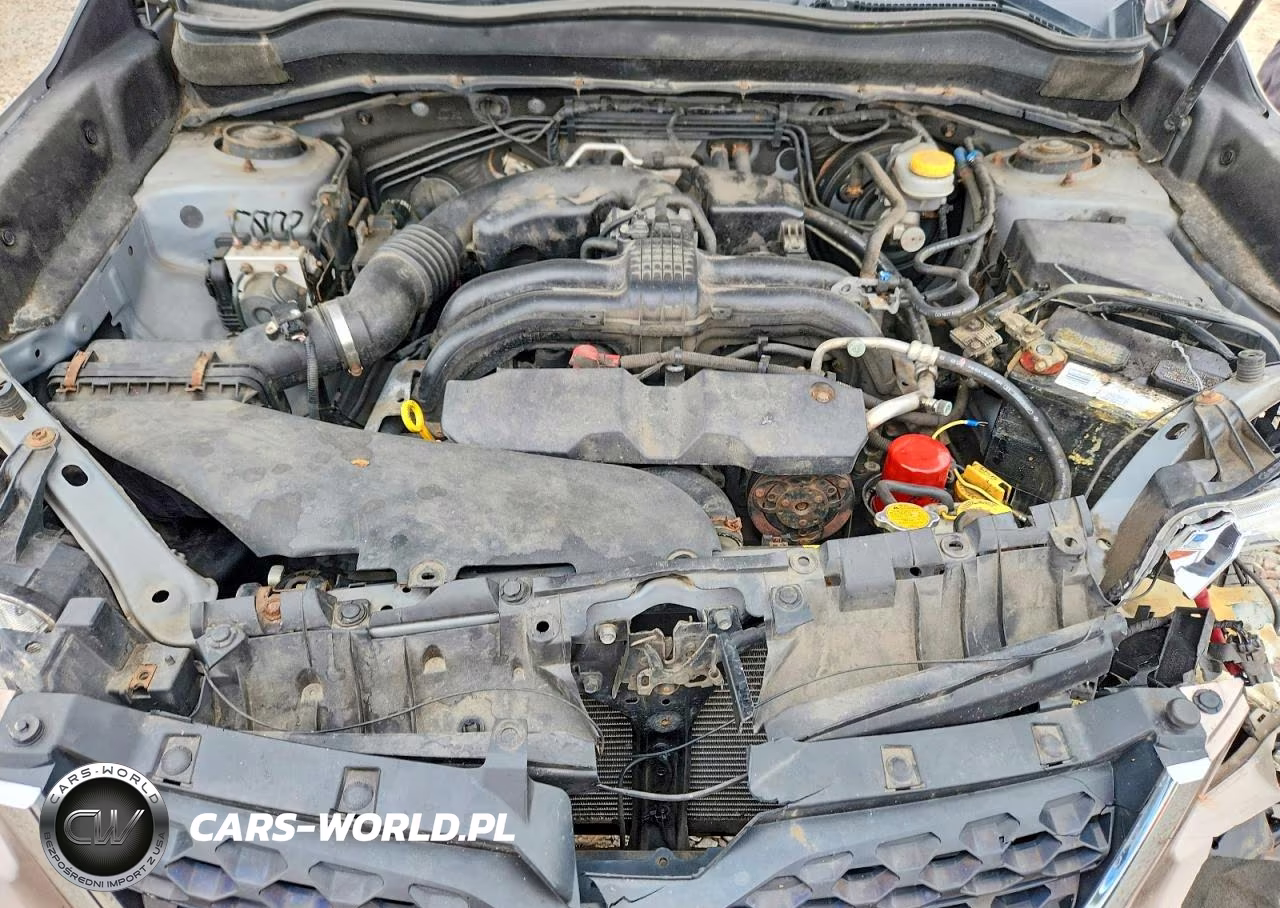 2014 Subaru Forester 2.5I Premium VIN:JF2SJAEC9EH494139 - 12