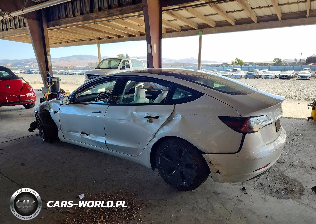 2022 Tesla Model 3 VIN:5YJ3E1EB0NF260339 - 2