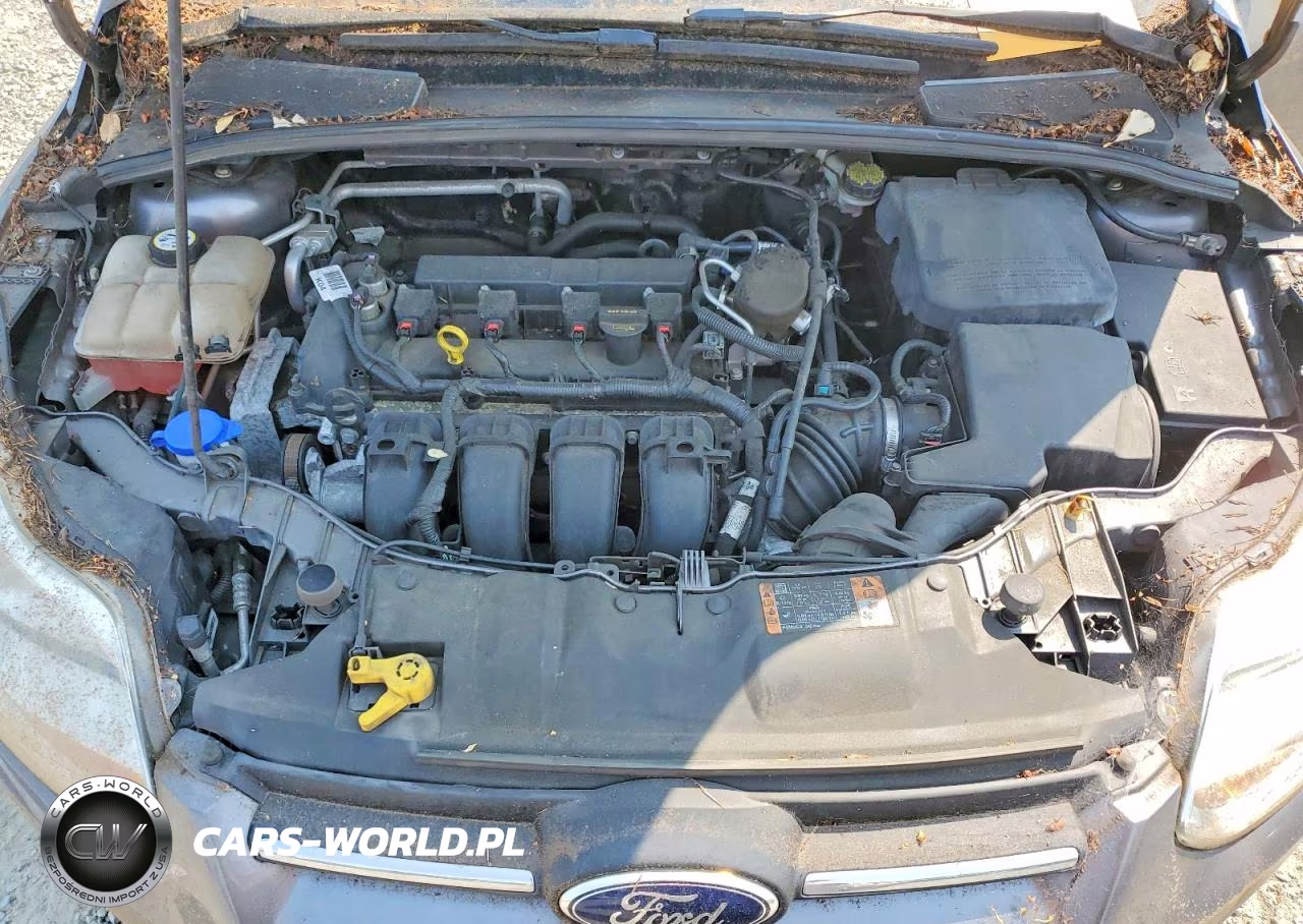 2014 Ford Focus Se VIN:1FADP3K24EL382946 - 11