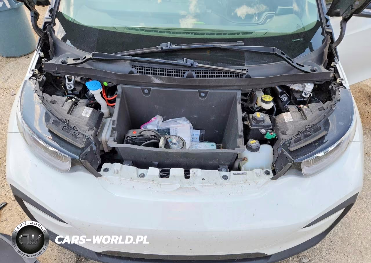 2019 BMW I3 Rex VIN:WBY8P4C57K7E71698 - 11