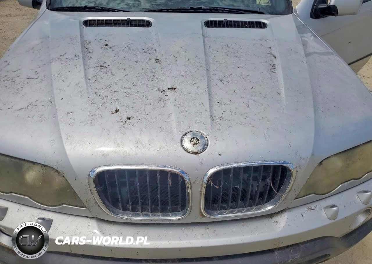 2003 BMW X5 3.0I VIN:5UXFA53573LV97452 - 12