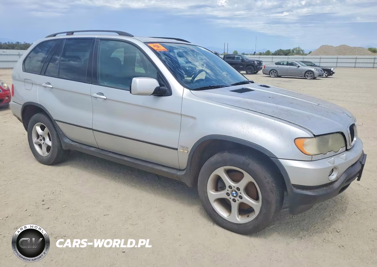 2003 BMW X5 3.0I VIN:5UXFA53573LV97452 - 4