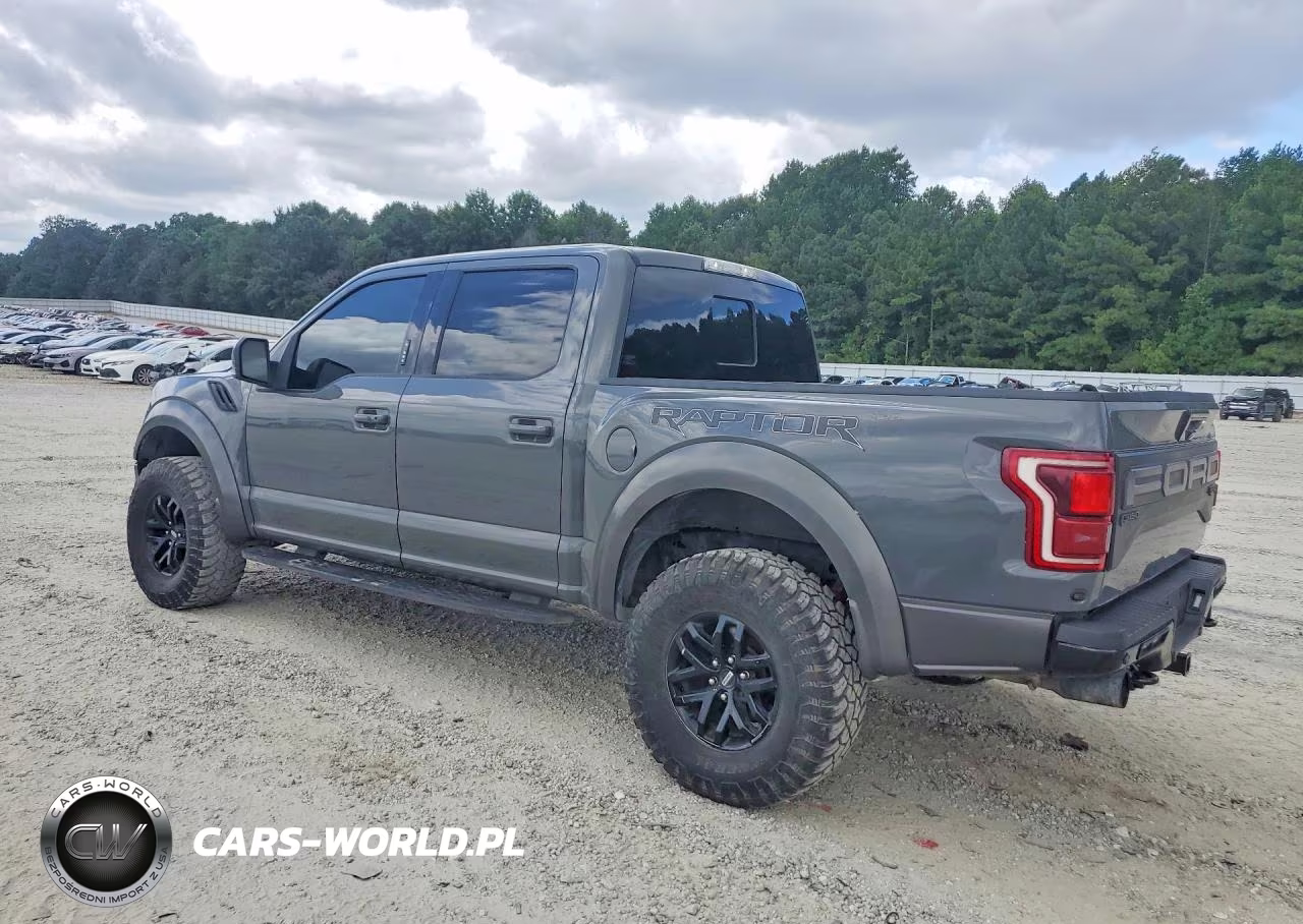 2020 Ford F150 Raptor VIN:1FTFW1RG1LFA15266 - 2