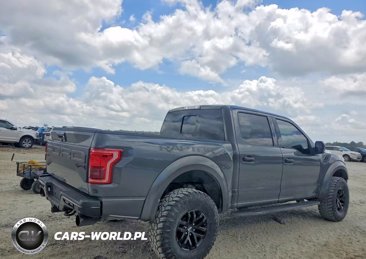2020 Ford F150 Raptor VIN:1FTFW1RG1LFA15266 - 3