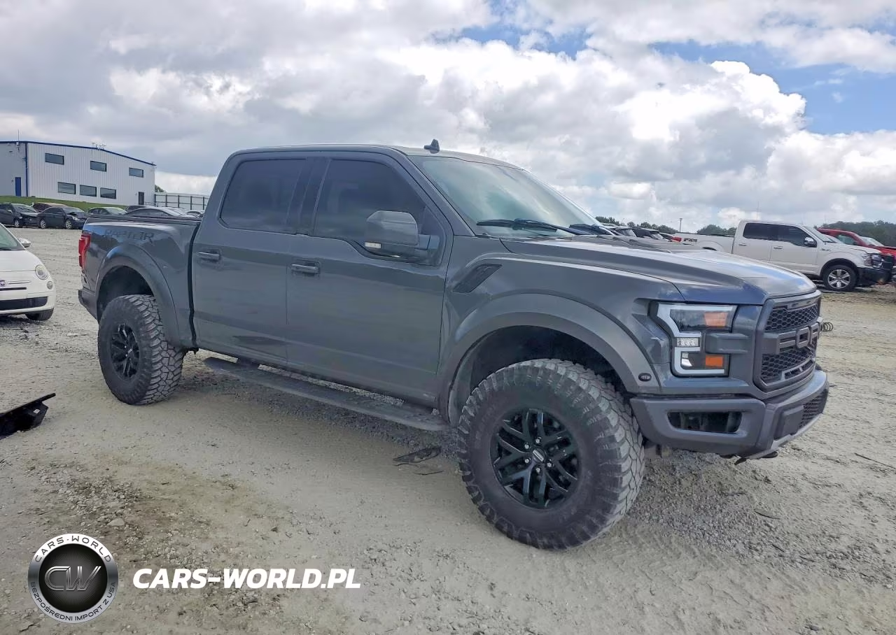 2020 Ford F150 Raptor VIN:1FTFW1RG1LFA15266 - 4
