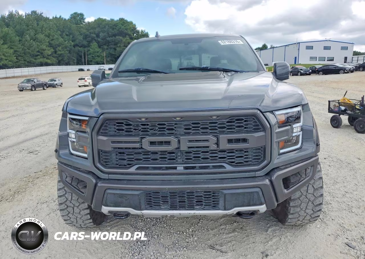 2020 Ford F150 Raptor VIN:1FTFW1RG1LFA15266 - 5