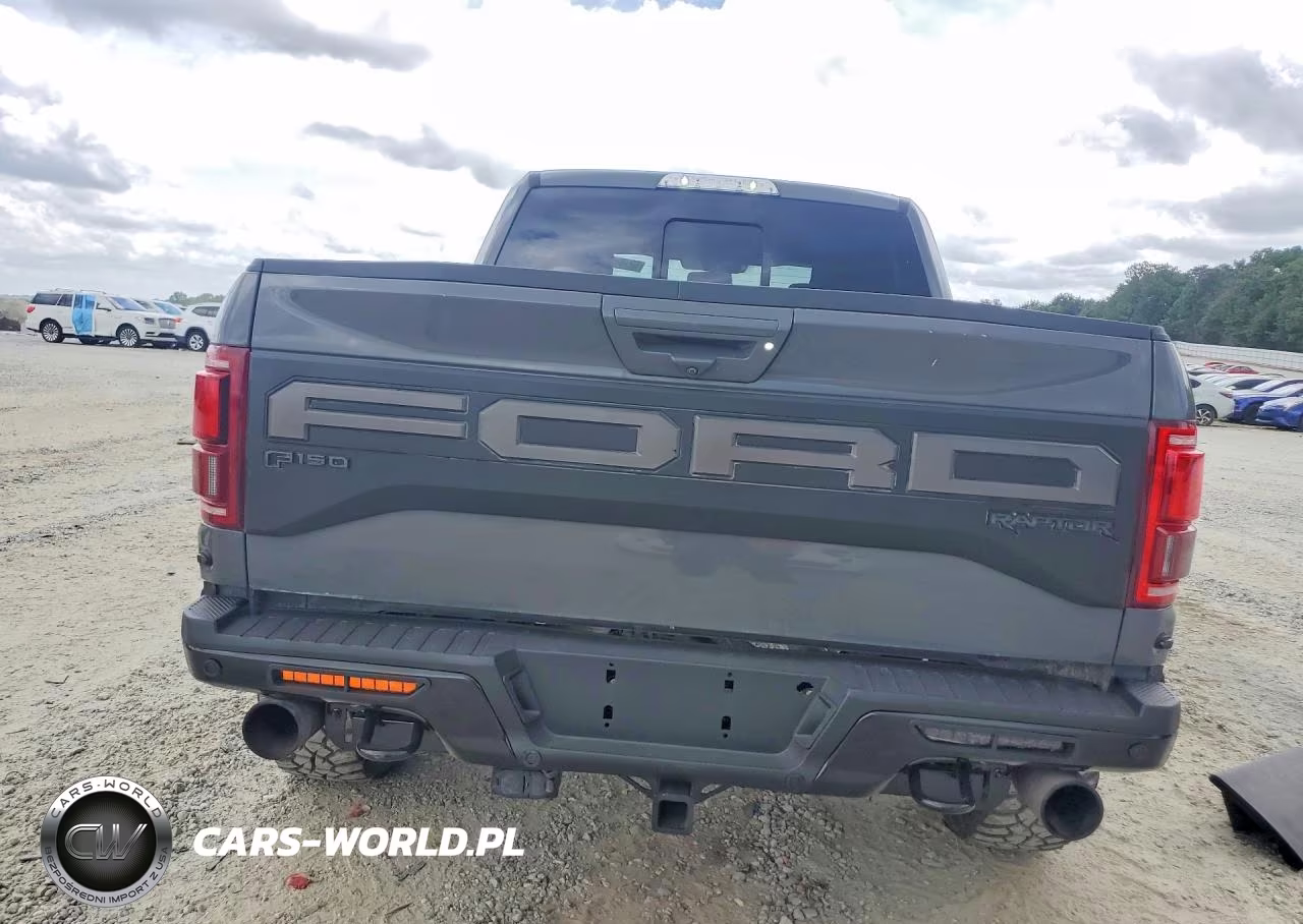 2020 Ford F150 Raptor VIN:1FTFW1RG1LFA15266 - 6