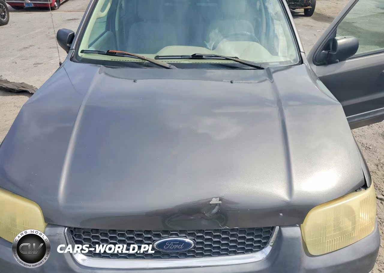 2004 Ford Escape Xlt VIN:1FMYU03114DA21123 - 11