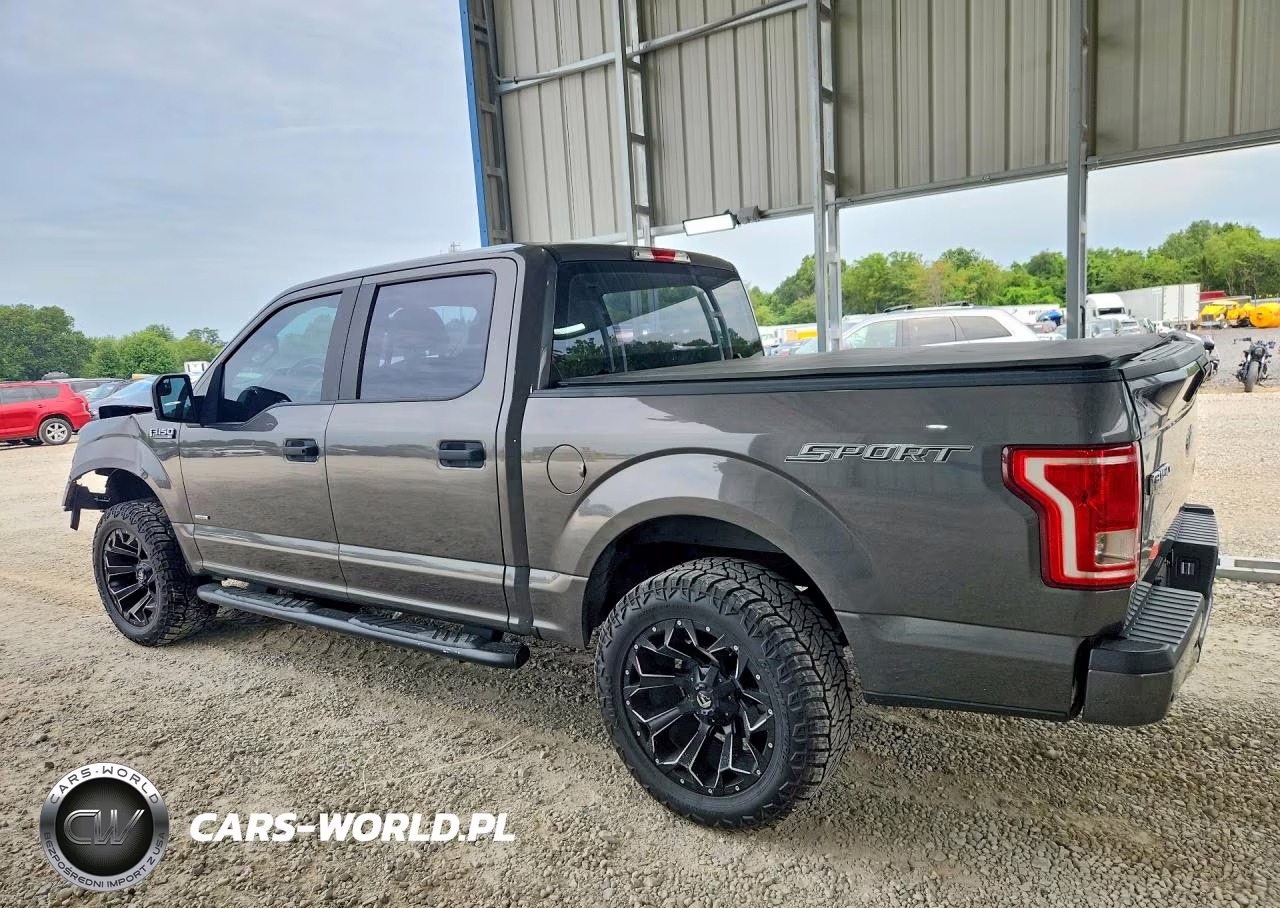 2016 Ford F150 Supercrew VIN:1FTEW1CP5GKF44396 - 2