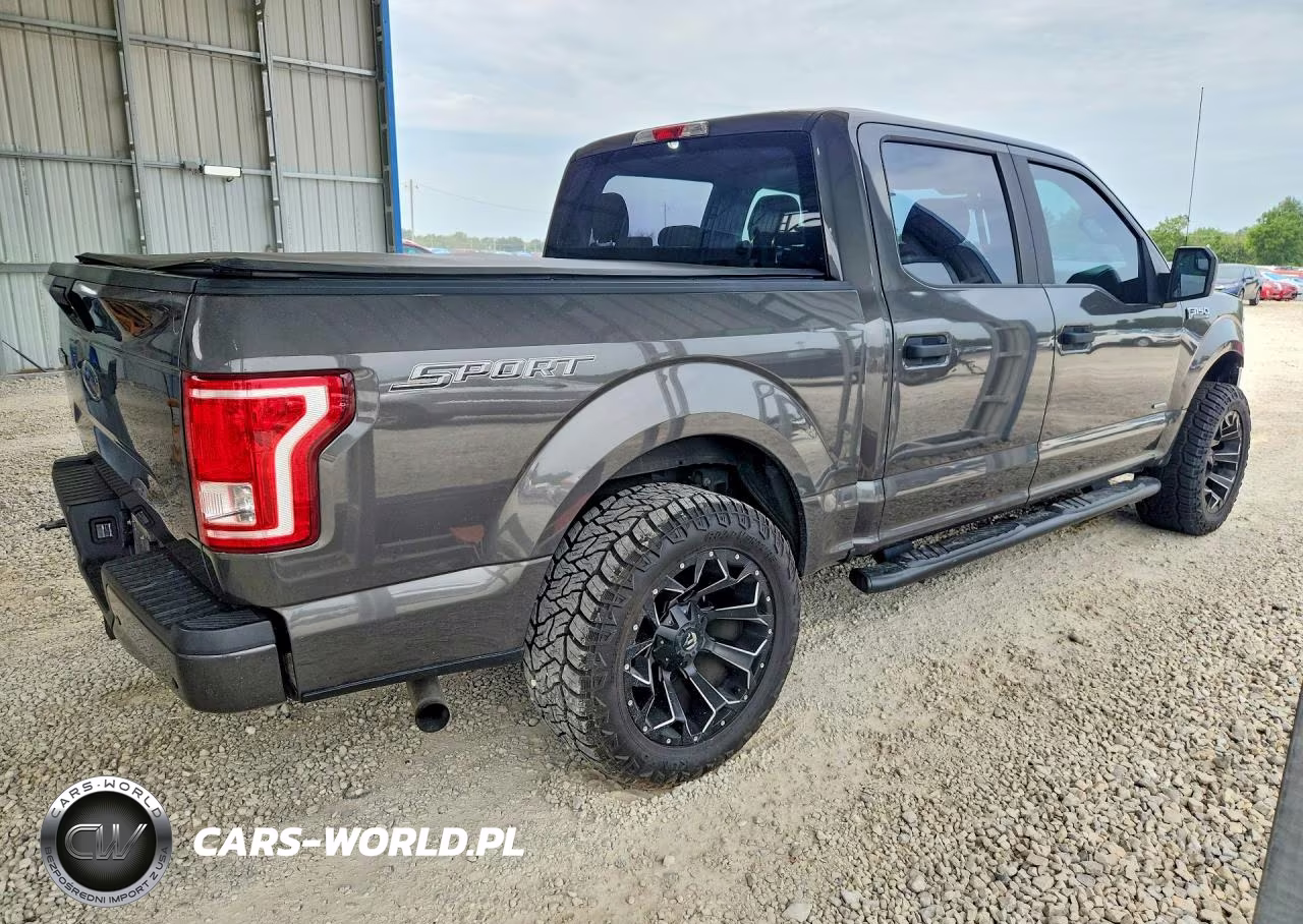 2016 Ford F150 Supercrew VIN:1FTEW1CP5GKF44396 - 3