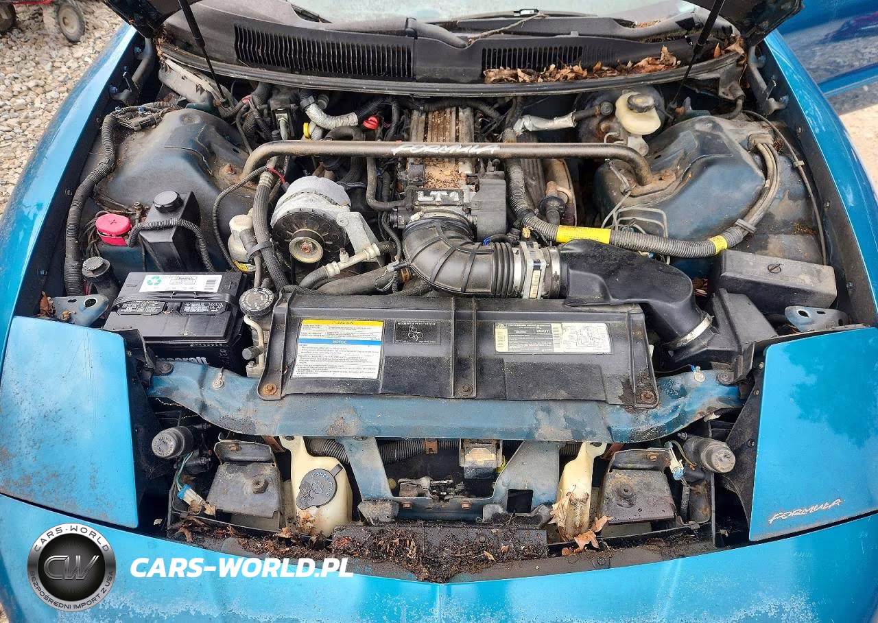 1995 Pontiac Firebird Formula VIN:2G2FV22P7S2250391 - 11
