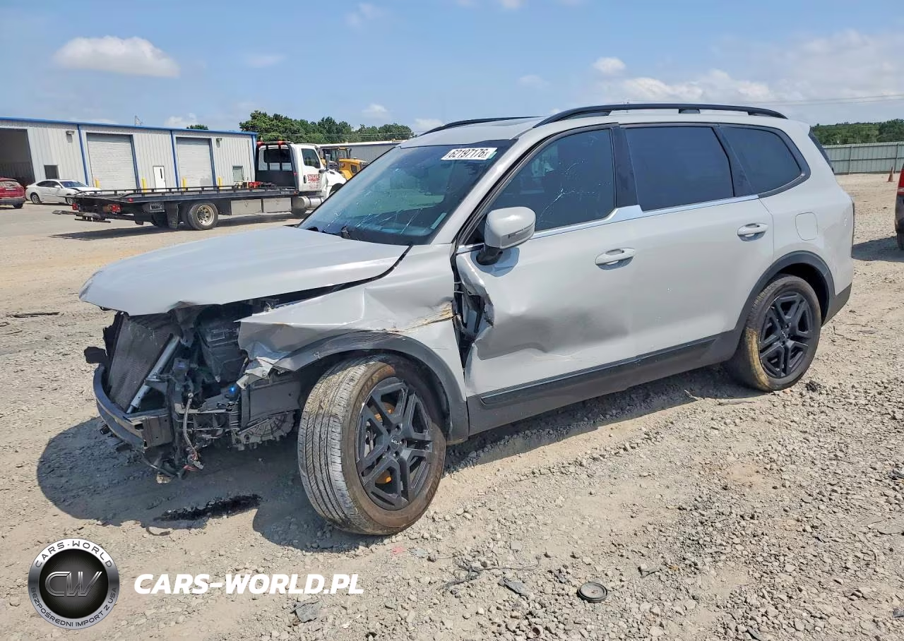 2024 Kia Telluride Sx-Prestige X-Line VIN:5XYP5DGC1RG498322 - 1