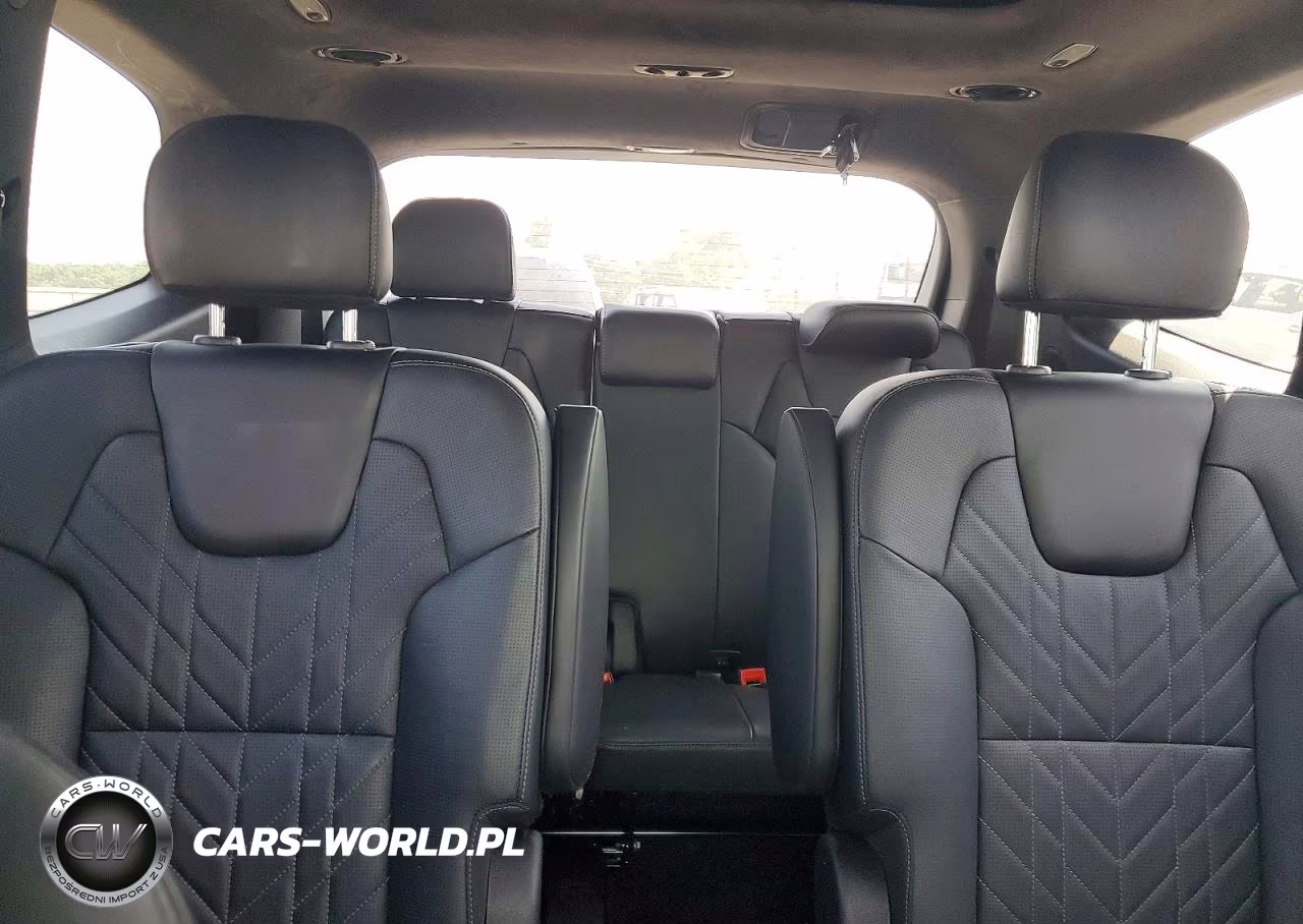 2024 Kia Telluride Sx-Prestige X-Line VIN:5XYP5DGC1RG498322 - 10