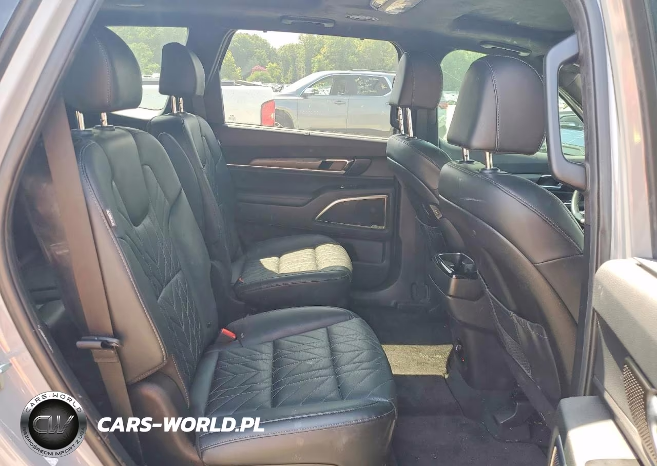 2024 Kia Telluride Sx-Prestige X-Line VIN:5XYP5DGC1RG498322 - 11