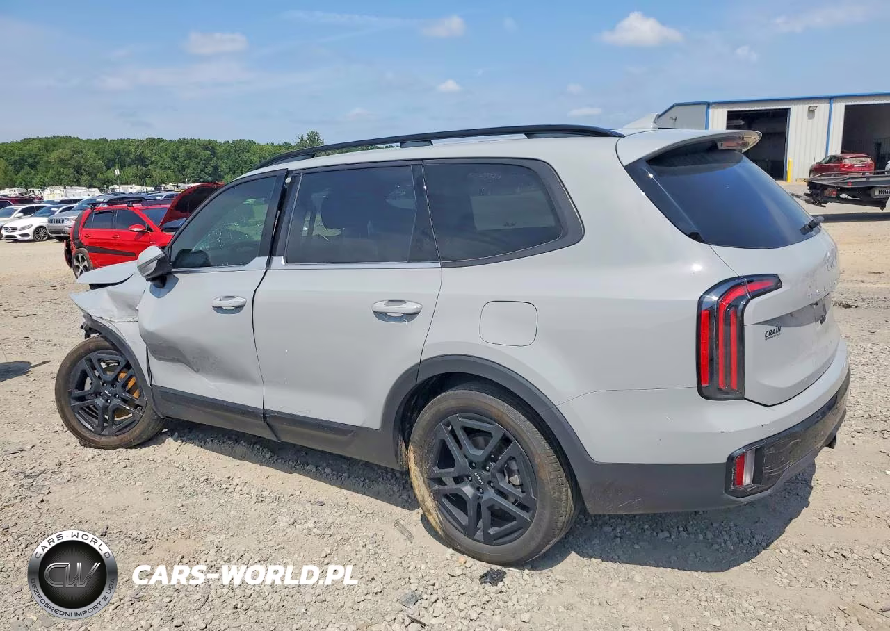 2024 Kia Telluride Sx-Prestige X-Line VIN:5XYP5DGC1RG498322 - 2