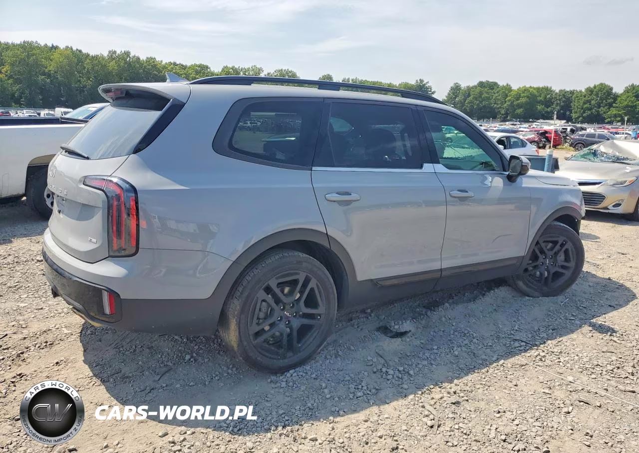 2024 Kia Telluride Sx-Prestige X-Line VIN:5XYP5DGC1RG498322 - 3