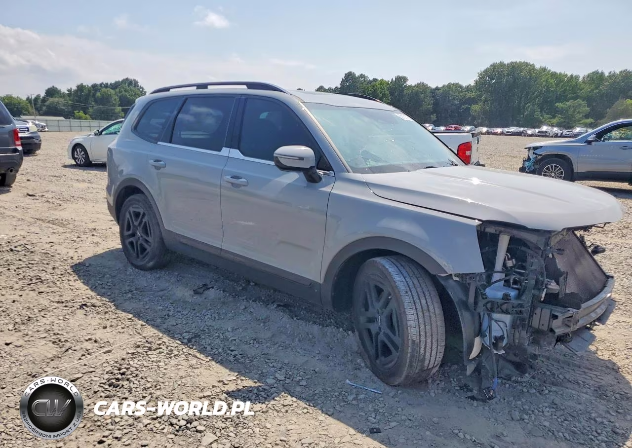 2024 Kia Telluride Sx-Prestige X-Line VIN:5XYP5DGC1RG498322 - 4