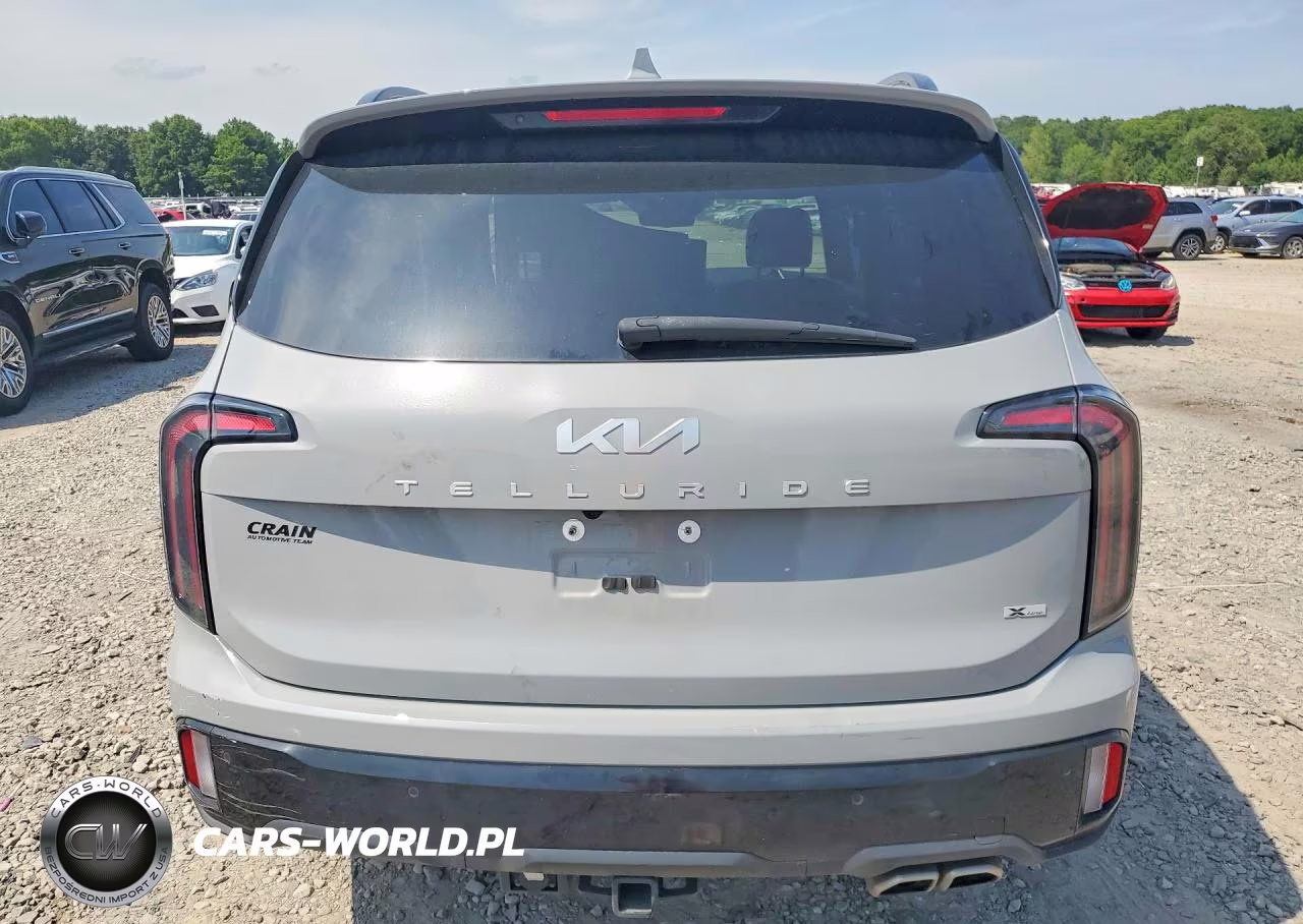 2024 Kia Telluride Sx-Prestige X-Line VIN:5XYP5DGC1RG498322 - 6