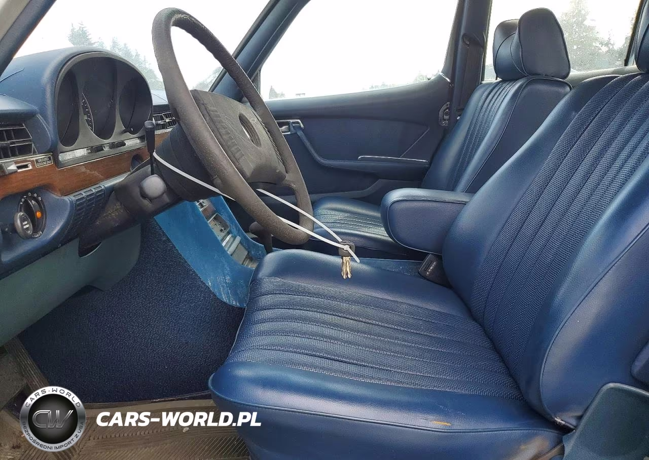 1976 Mercedes-Benz 450 VIN:11603212053053 - 7