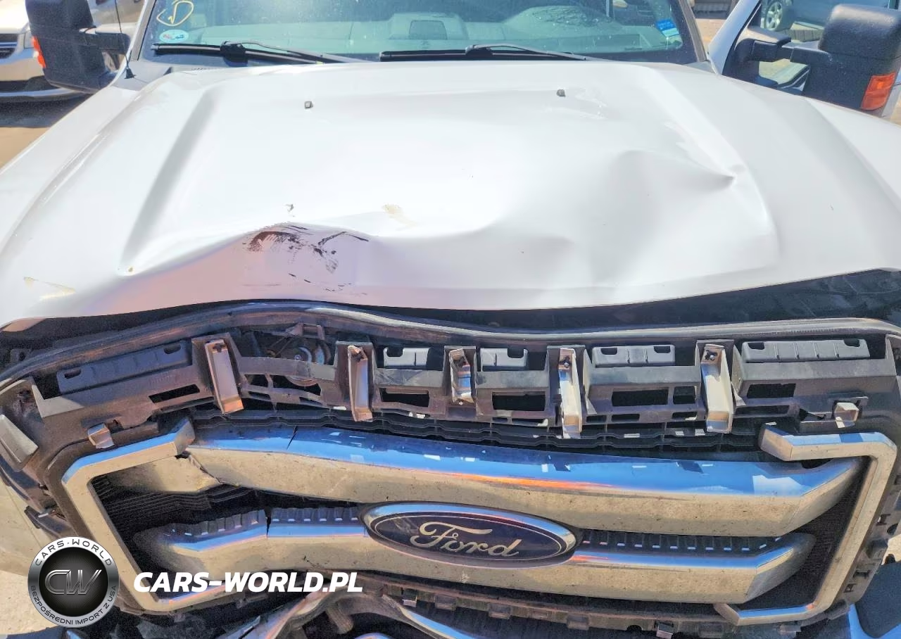 2016 Ford F250 Super Duty VIN:1FT7W2B65GEB29391 - 11