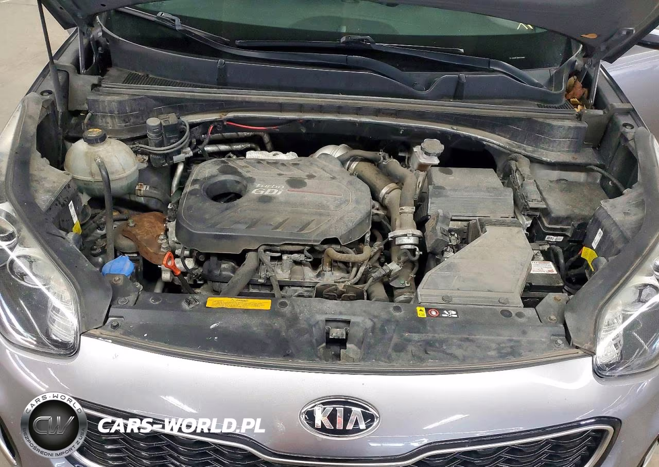 2019 Kia Sportage Sx VIN:KNDPRCA67K7524040 - 12