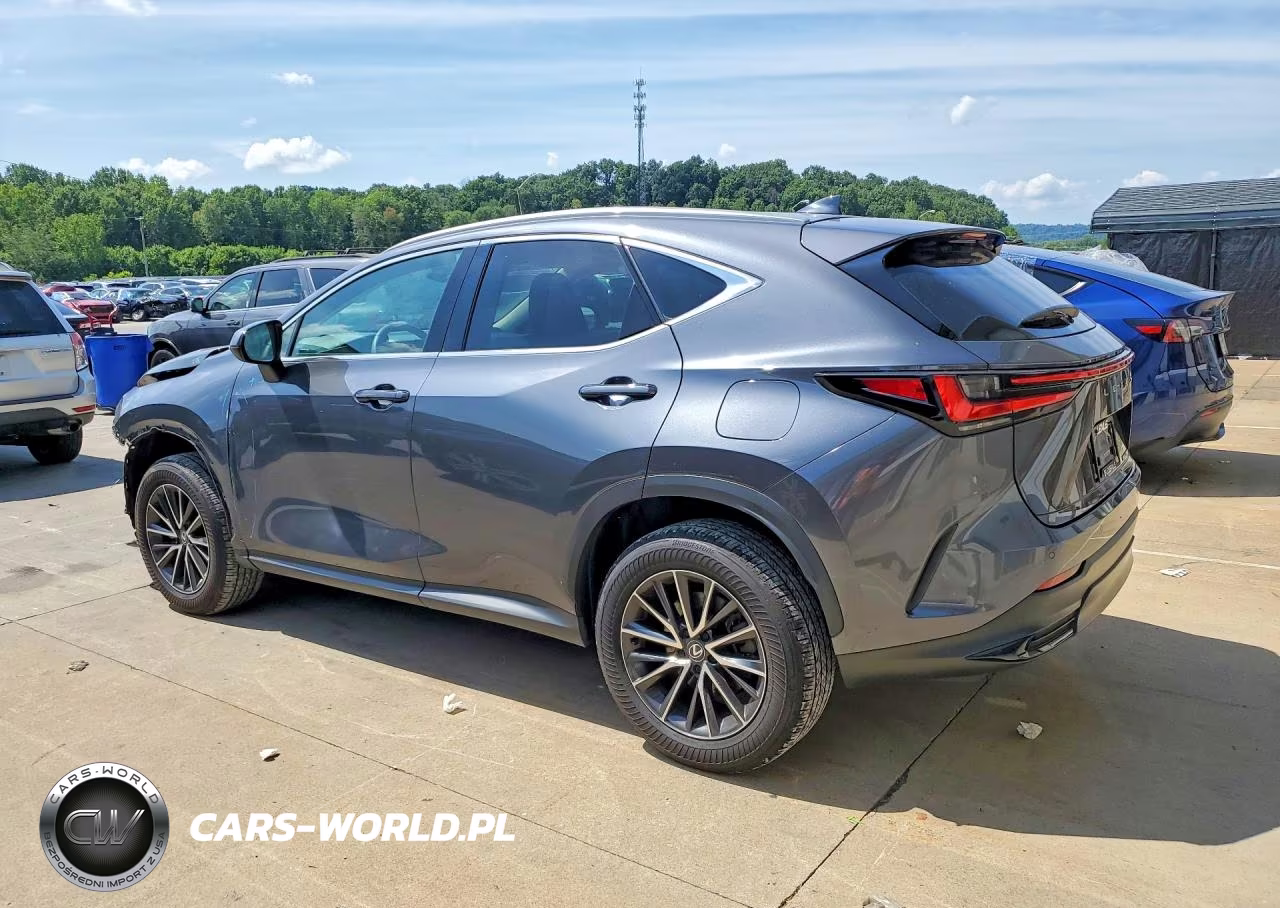 2024 Lexus Nx 250 Premium VIN:2T2GDCAZ6RC013481 - 2